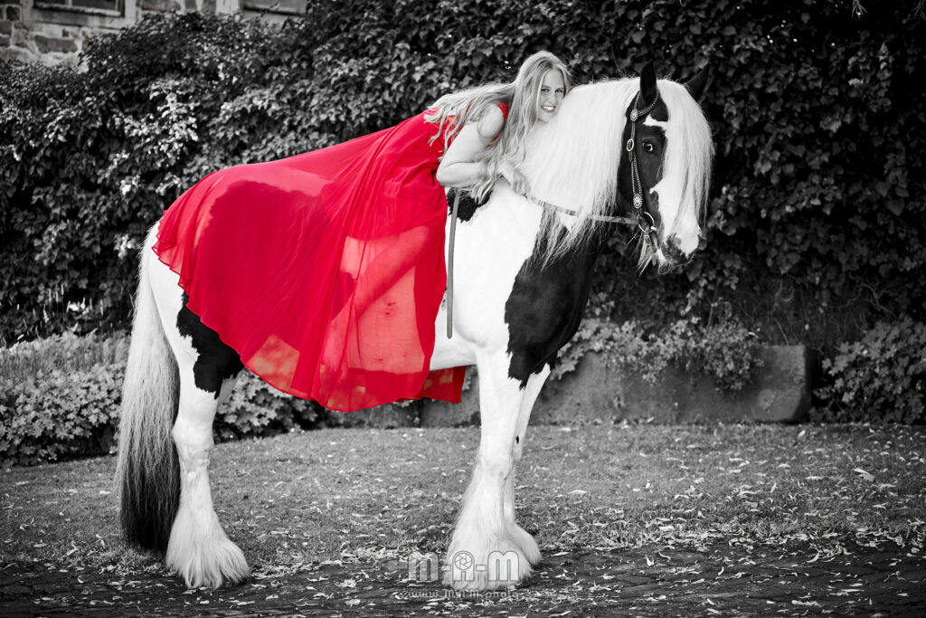 Portrait auf Pferd
