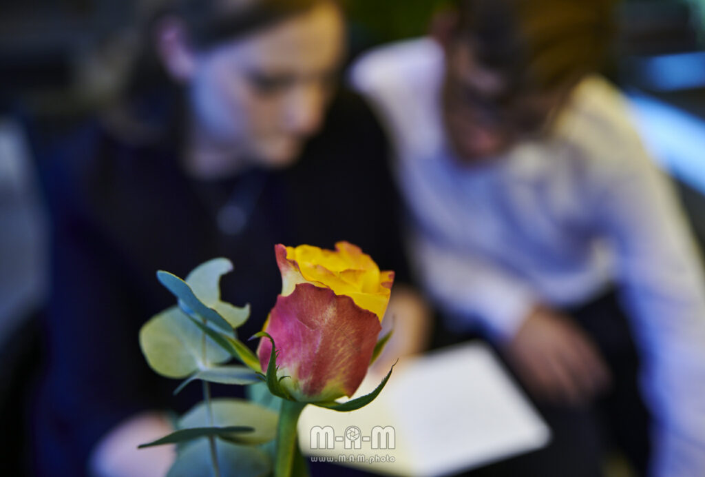 Rose mit Paar im Hintergrund